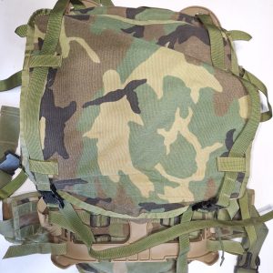 M81 MOLLE II On New Frame